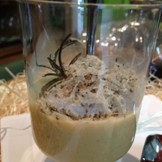 Corsi di Cucina Tipica Toscana - Cooking Experience in Tuscany