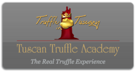 Visit Truffle in Tuscany - Seek and Tasting tour of wines and truffle experience