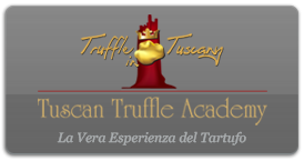 Visit Truffle in Tuscany - Seek and Tasting tour of wines and truffle experience
